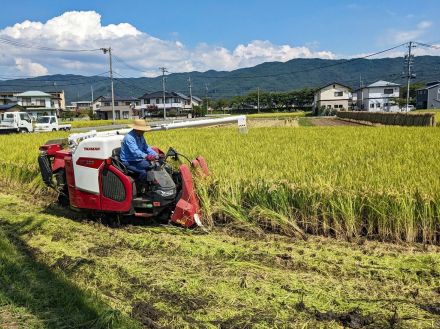 「令和の米騒動」救うカギは「高温耐性品種」　コシヒカリ“一強”は終わり“群雄割拠”の時代へ