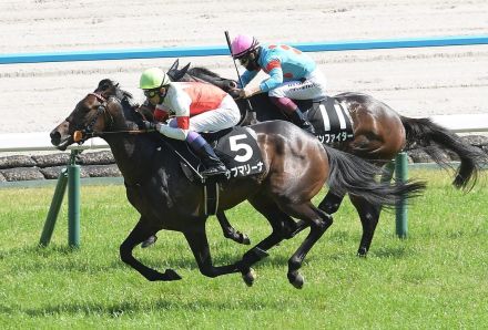 【神戸新聞杯】武豊騎手とコンビのサブマリーナが右後肢フレグモーネで取消