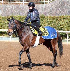 土曜メインレースの注目激走馬…中山１１Ｒ・ながつきステークス