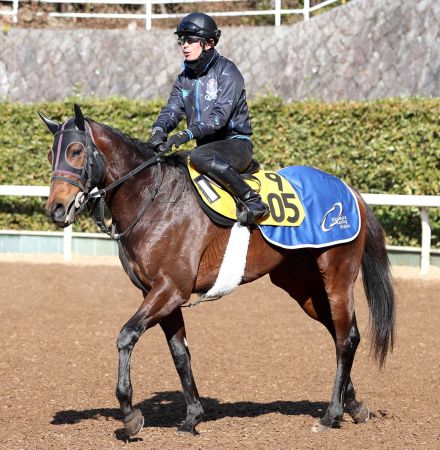 土曜メインレースの注目激走馬…中山１１Ｒ・ながつきステークス