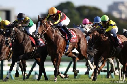 【オールカマー】今年は1頭だけ！6年続けて馬券内「好走馬の法則」に合致した鉄板級軸馬