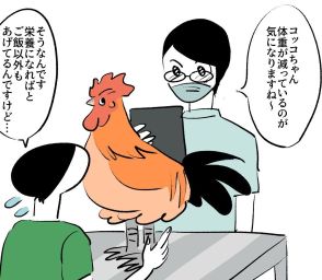 【漫画】ペットの名古屋コーチンの食事に驚き！　獣医さんもため息「人間より食費高い」【作者インタビュー】