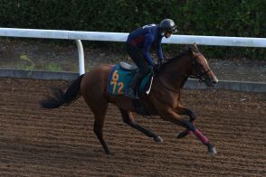 【今日の注目新馬】アルティテュード、未勝利戦圧勝の同期と併せ馬で仕上がり良好／中山5R