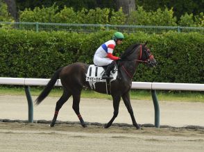 【今日の注目新馬】アイビーガオー除外の影響なし　原優介騎手「デビューが延びたのはむしろプラス」／中山4R