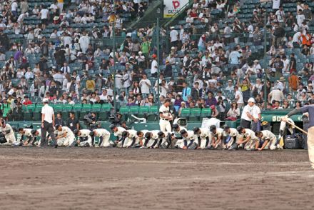 甲子園のリポートでは「負けコメントがいい」と褒められた【武内陶子「今があるのは…」】