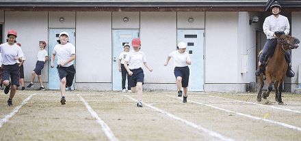 小学生が木曽馬と駆けっこ　木曽町・開田小の運動会　甲冑姿で行進も