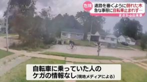 急に道路へ倒れた木　そこに自転車が…アメリカ