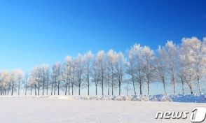 韓国の恋人たち、ホワイトクリスマスは札幌で…ロマンチックな旅先として注目