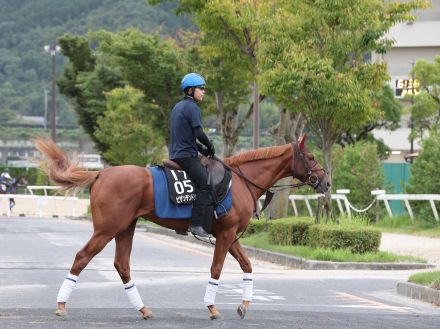 日曜中京競馬場の注目激走馬…中京１１Ｒ神戸新聞杯・Ｇ２