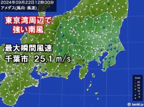 千葉市で最大瞬間風速25.1メートルを観測　関東の強風は夕方には弱まる