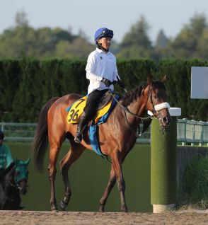 日曜メインレースの注目激走馬…中山１１Ｒオールカマー・Ｇ２