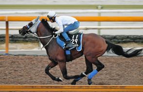 【神戸新聞杯】メイショウタバル、逃げ切り重賞２勝目 浜中俊は同レース初勝利