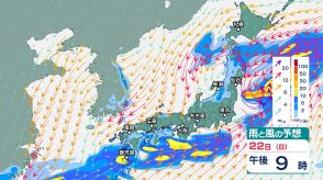 【関東甲信大雨情報午後4時半更新】警報級の大雨のおそれなくなるも、関東は今夜遅くにかけて伊豆諸島ではあす夕方にかけて落雷や竜巻などの激しい突風、降ひょうに注意【雨風シミュレーション】