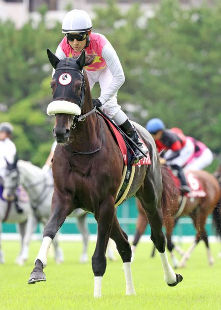 【神戸新聞杯】ジューンテイクが半馬身差まで詰め寄る２着　藤岡佑介騎手「期待持てる内容」で菊花賞へ