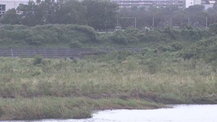 相模川で発見された2人の死亡確認　マンホールの中で流された作業員か　神奈川・相模原市